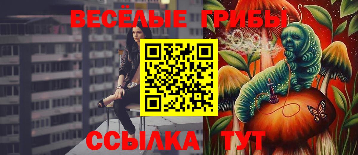 где найти наркотики  Псилоцибиновые грибы Magic Shrooms  Вход с VPN  Черногорск 